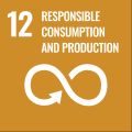 SDG 12: Responsible Consumption and Production
