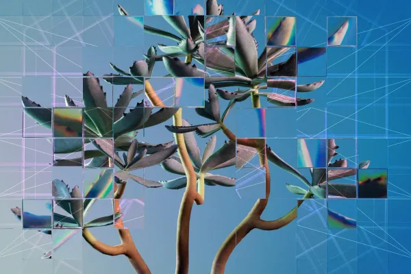 Ein abstraktes Bild mit blumenartigen Strukturen. Das Bild ist fragmentiert.